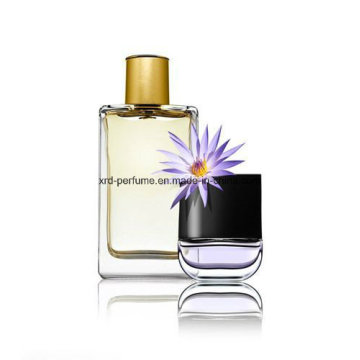 Parfum Sexy avec Bouteille En Verre Bon Parfum